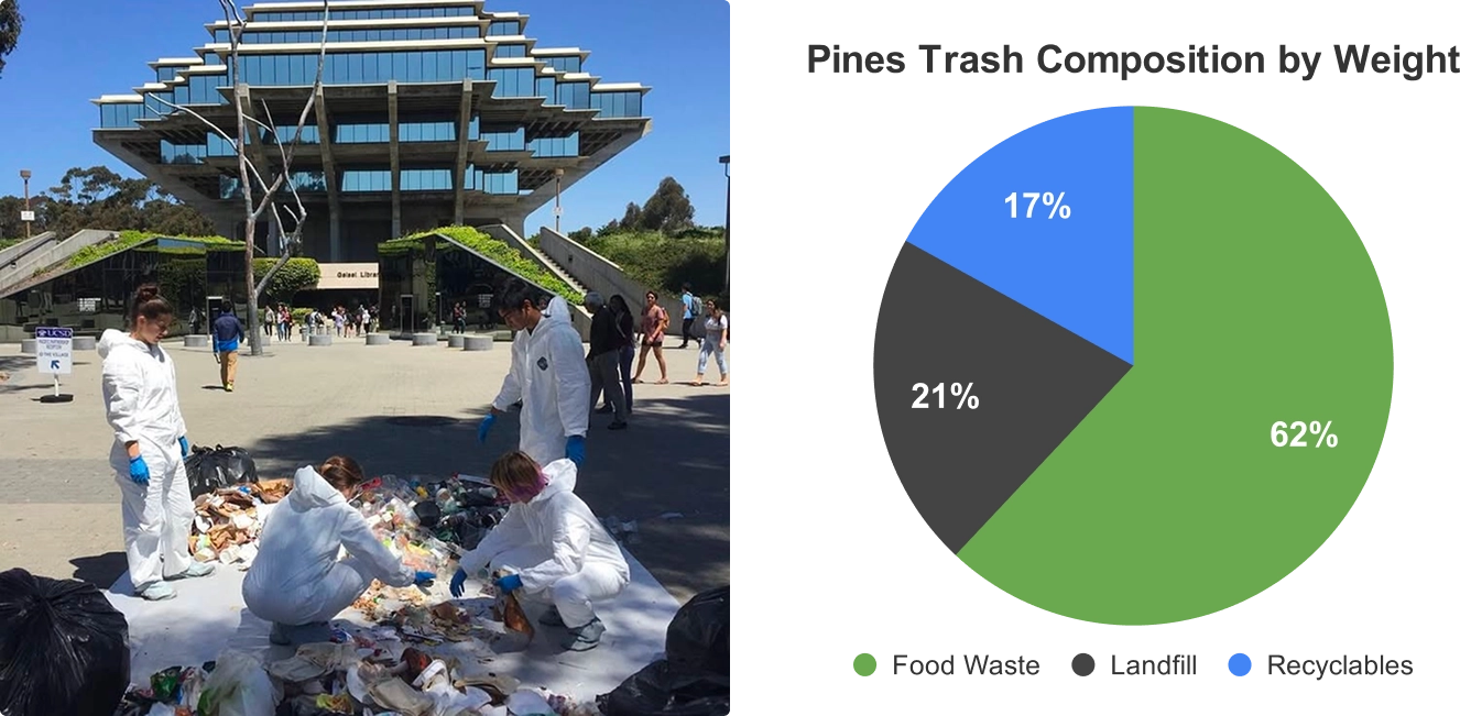 waste audit